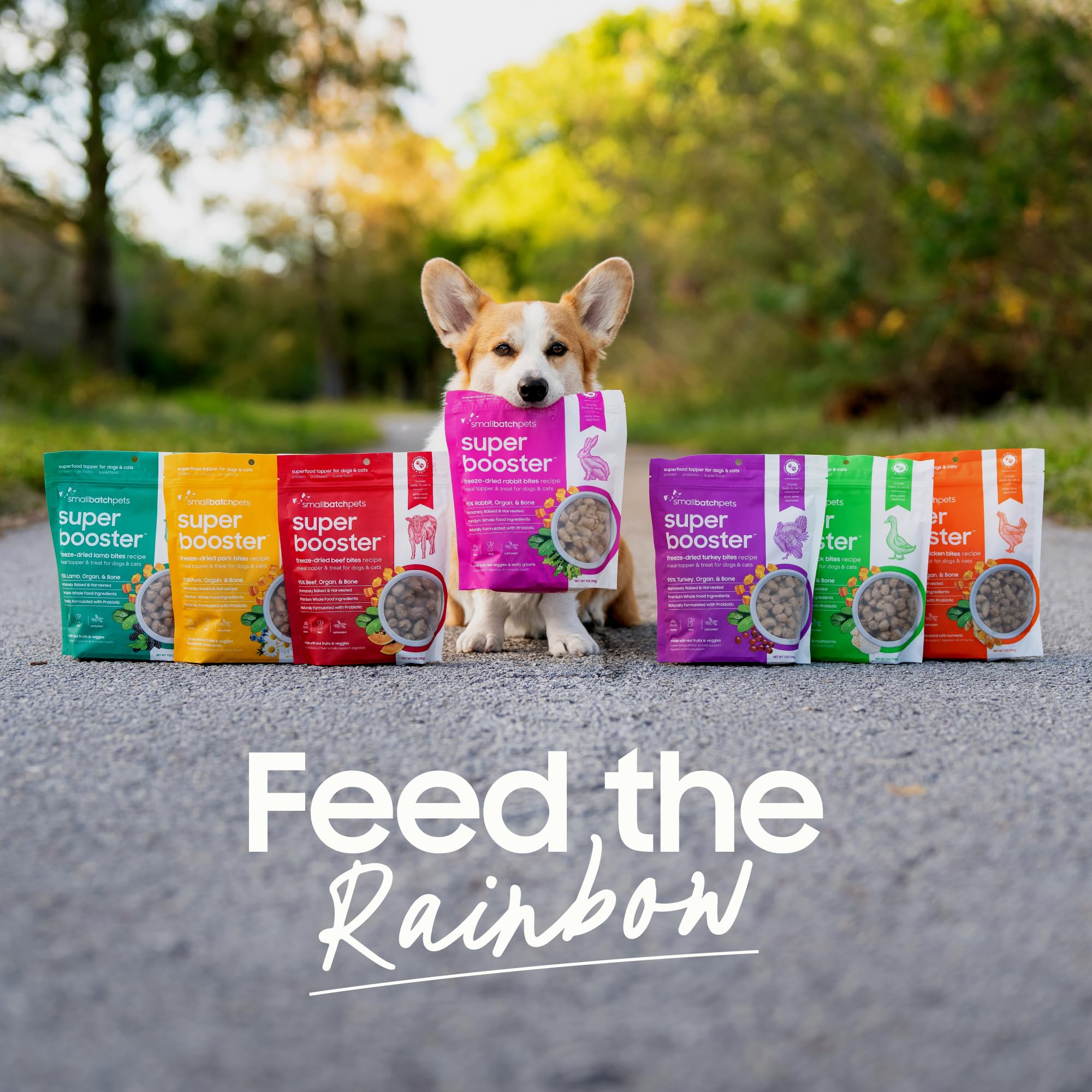 Smallbatch freeze-dried bites served as a quick, tasty treat.