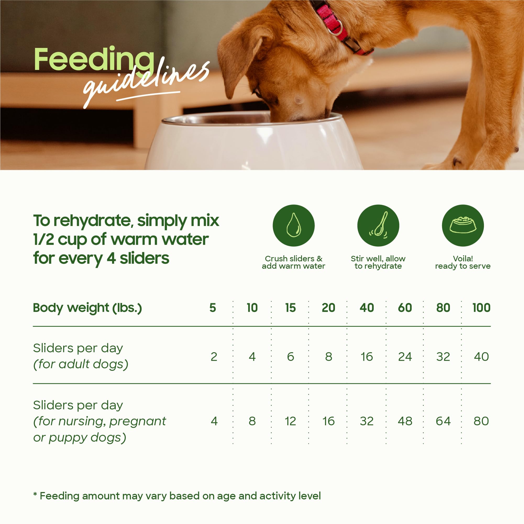 smallbatch freeze-dried pork liver dog treats serving bowl closeup communicates snack texture.