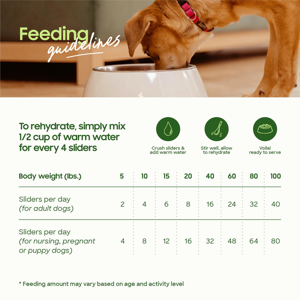 smallbatch freeze-dried pork liver dog treats serving bowl closeup communicates snack texture.