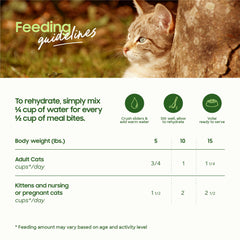 Smallbatch cat food with humanely raised turkey for quality sourcing