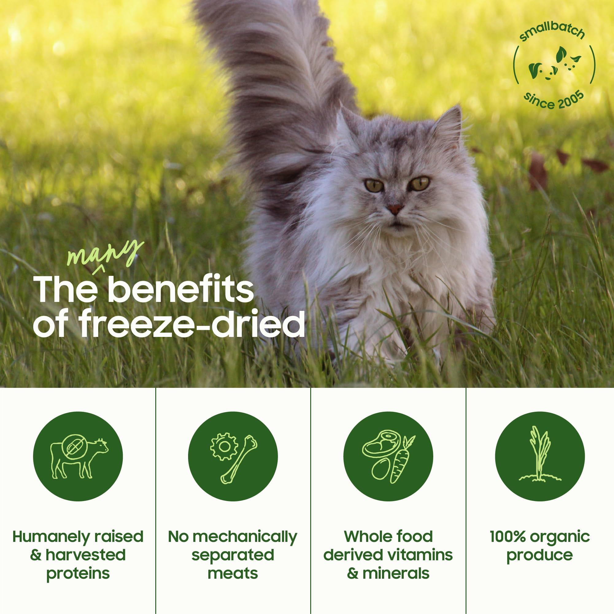 Smallbatch cat food uses Non-GMO produce for clean ingredients
