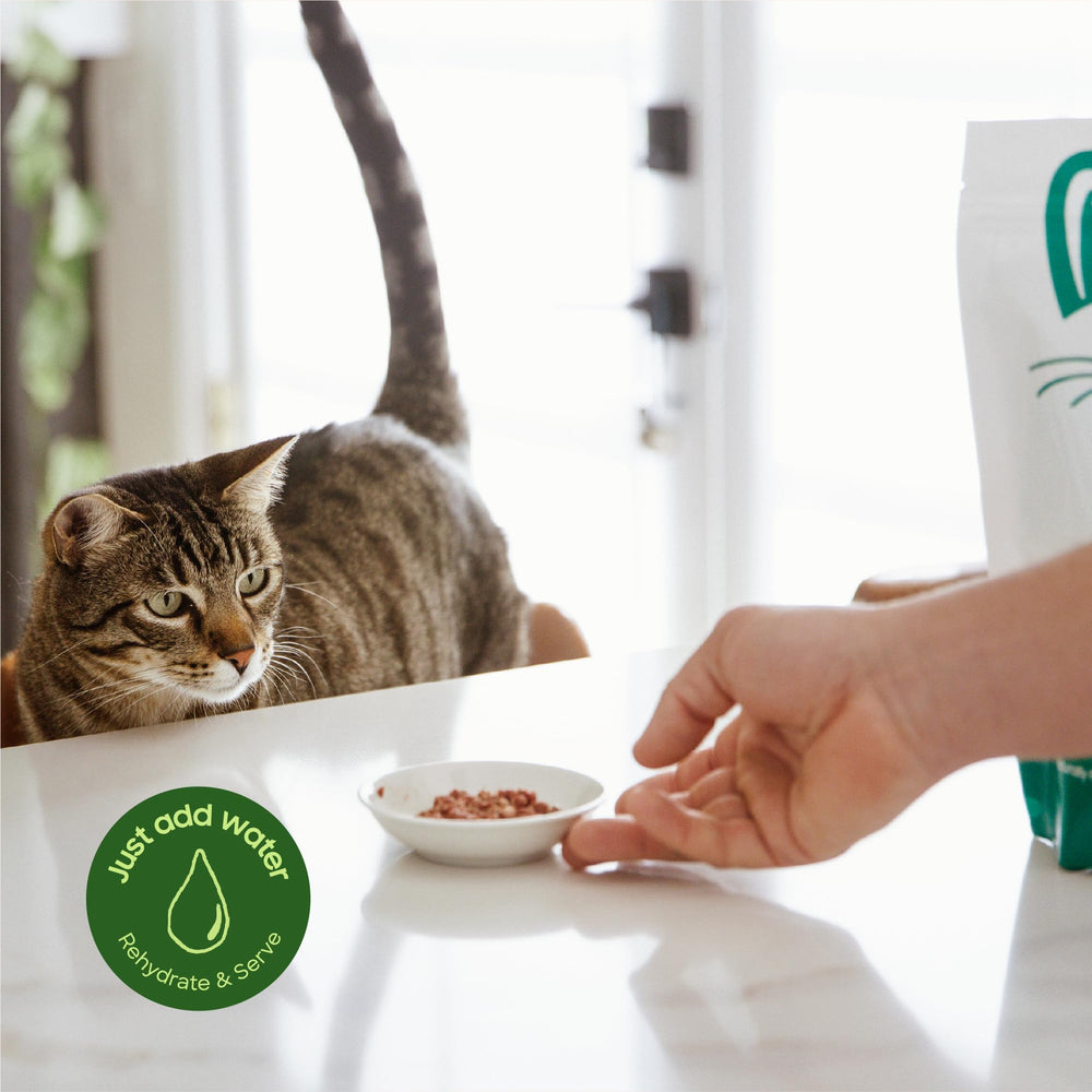 Smallbatch turkey recipe serves as meal, topper, or treat for cats