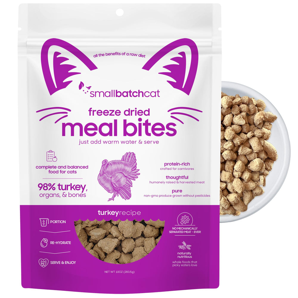 Smallbatch Freeze-Dried Raw Cat Food turkey bites in a bowl, protein-forward meal option