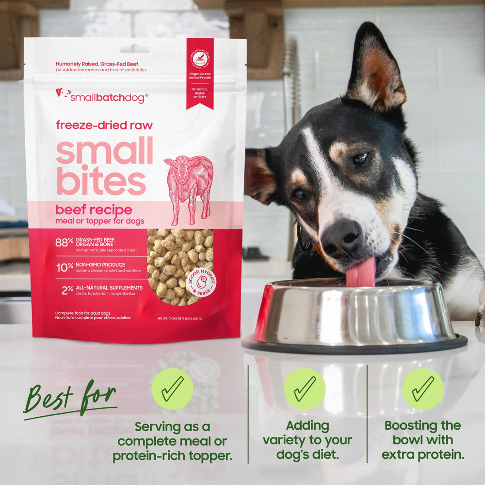 Smallbatch Pets grain-free formula supports digestion and energy.