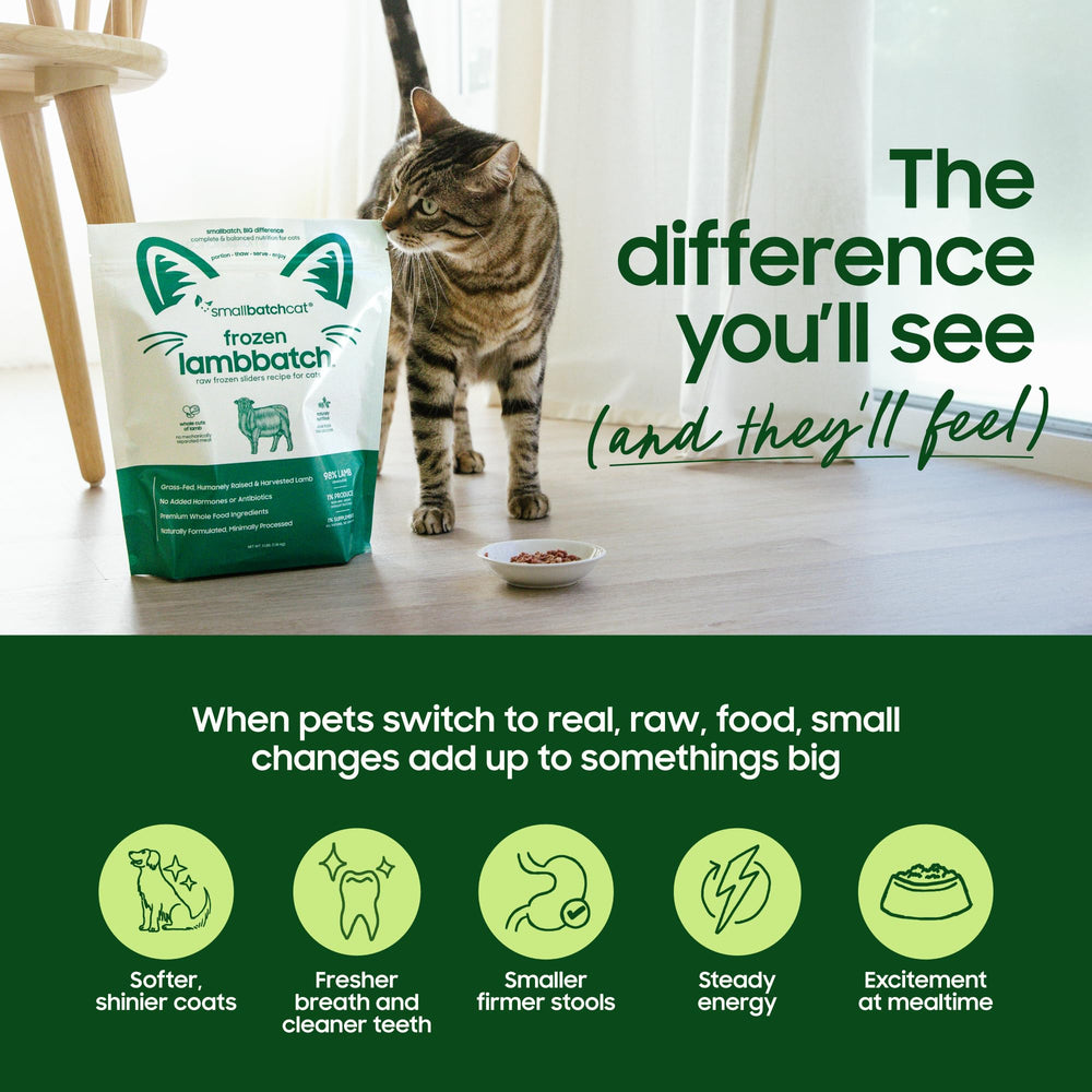 Smallbatch Pets grain-free lamb formula bag displayed for active dogs