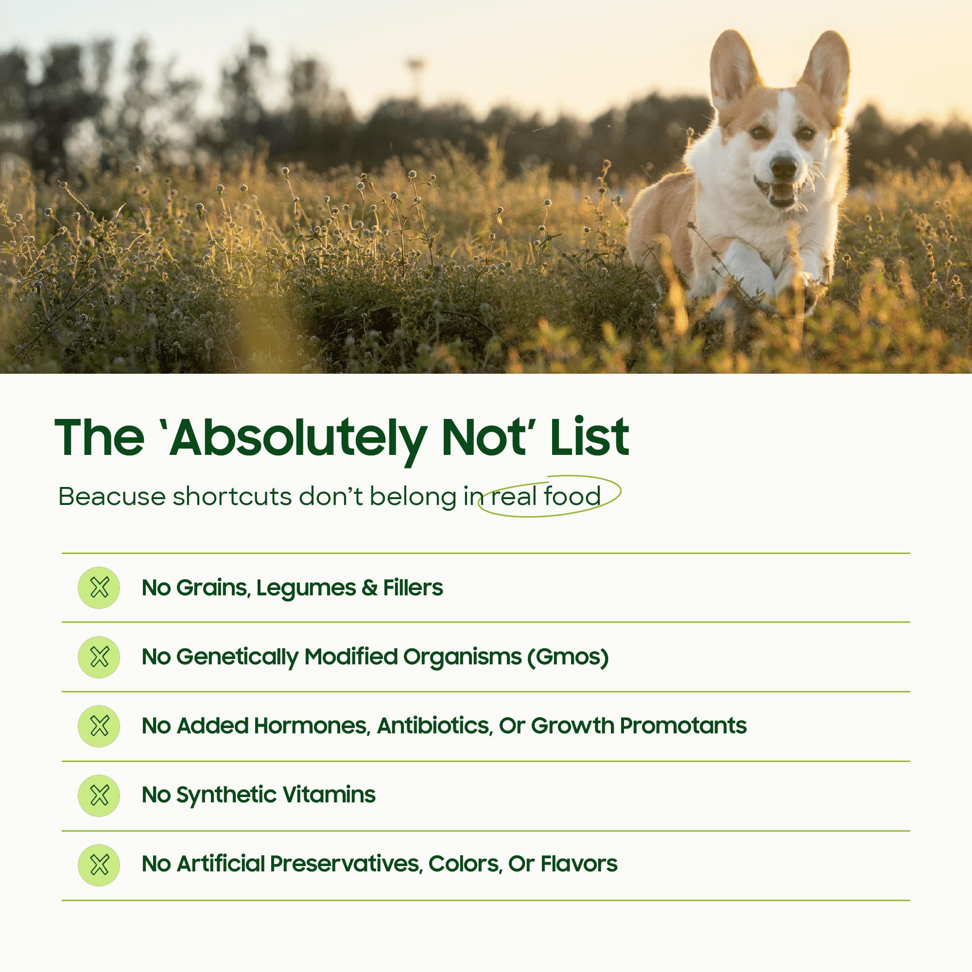 Smallbatch Pets hydration in warm water enhances serving convenience.
