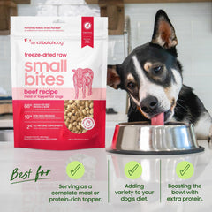 Smallbatch Pets organic superfoods blend image with kale, spinach and blueberries for immune support.