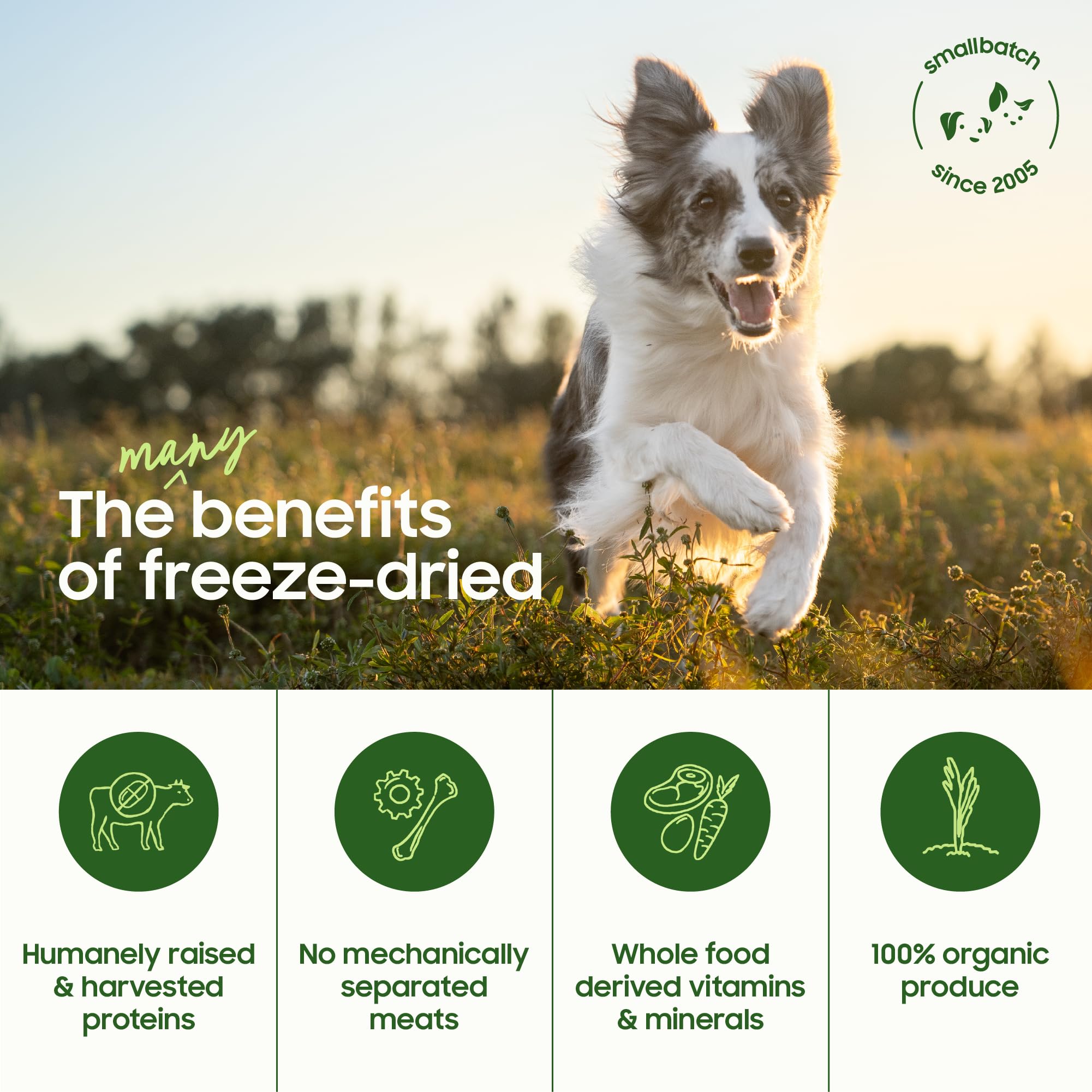 smallbatch pork liver dog treats brand label closeup conveys humane sourcing.