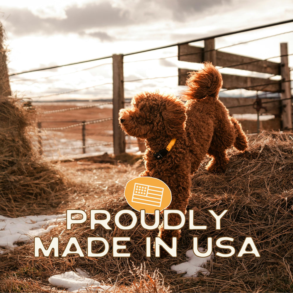 Smart Cookie limited-ingredient treat suitable for picky pets during training.