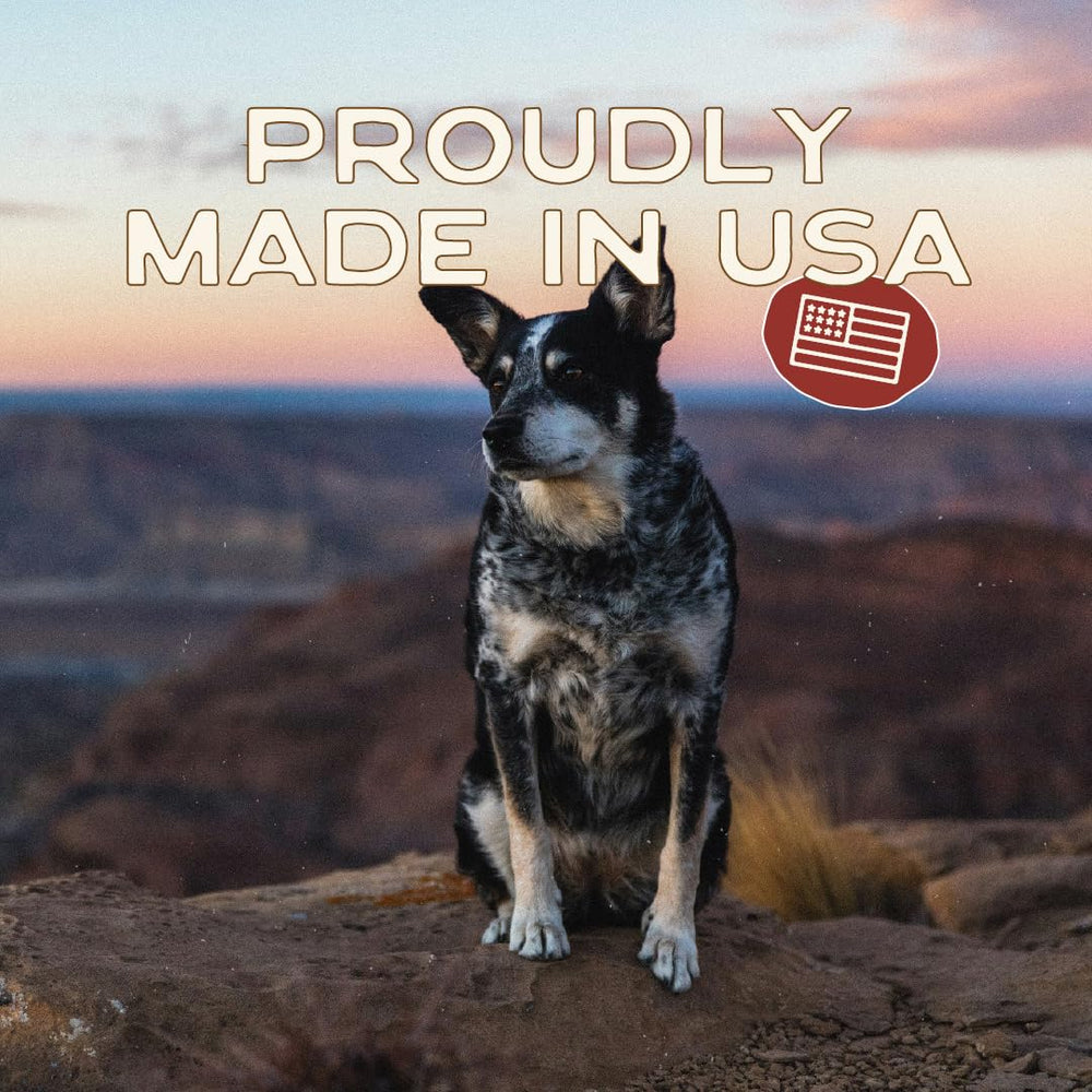 Smart Cookie allergen-friendly snack for picky dogs with sensitive stomachs.