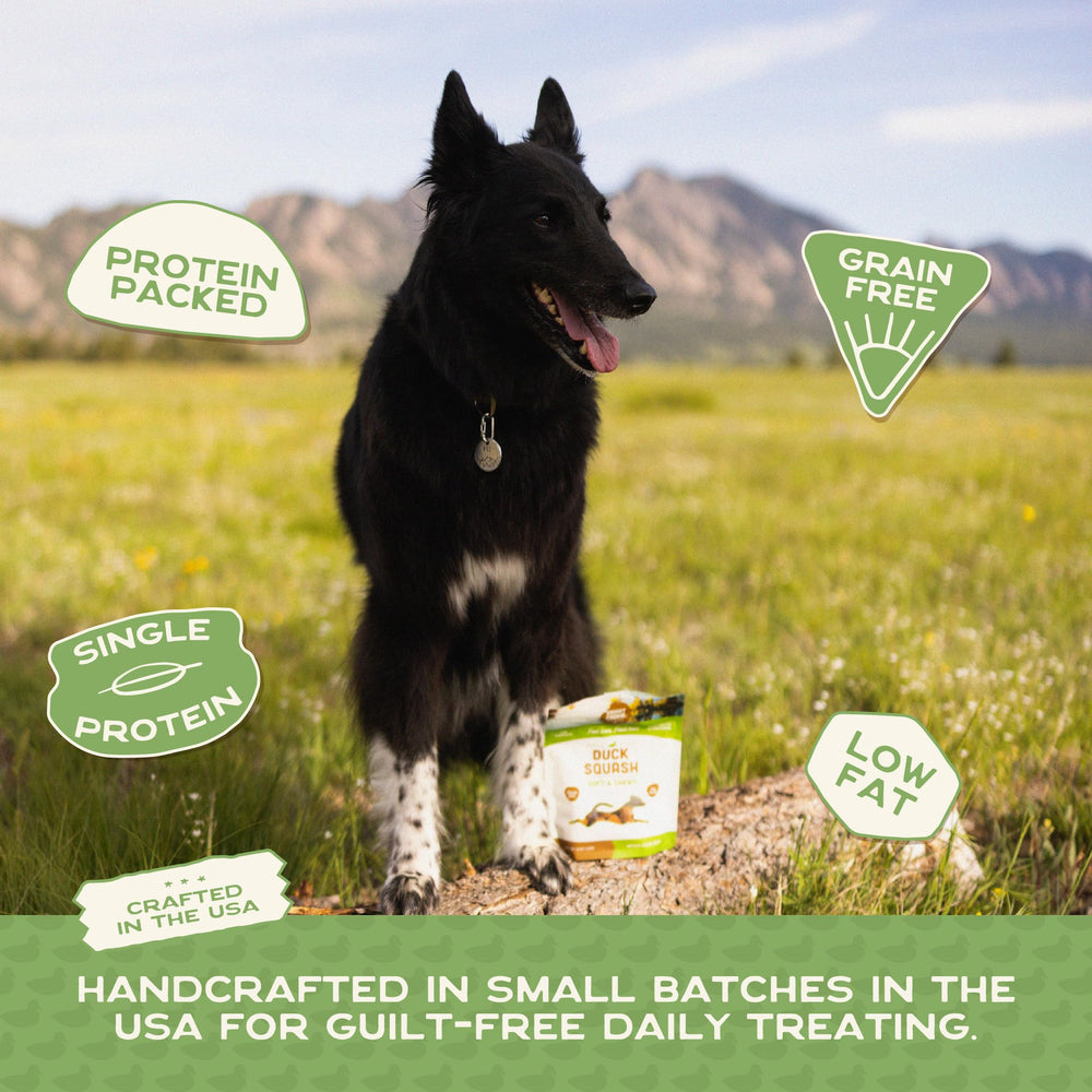 Smart Cookie training session with bite-sized rewards for dogs.