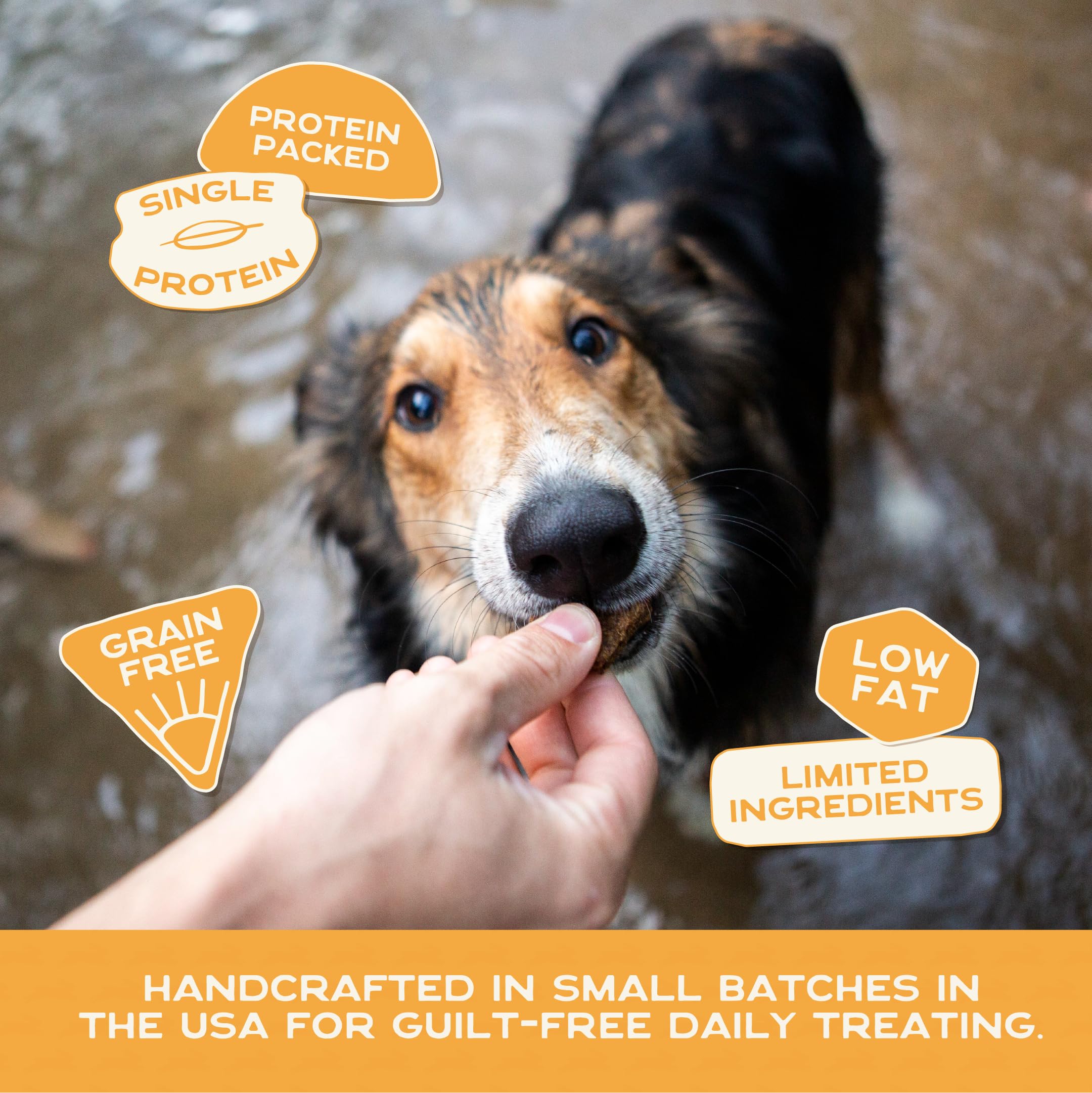 Smart Cookie pumpkin flavor treats, tasty option for picky pups