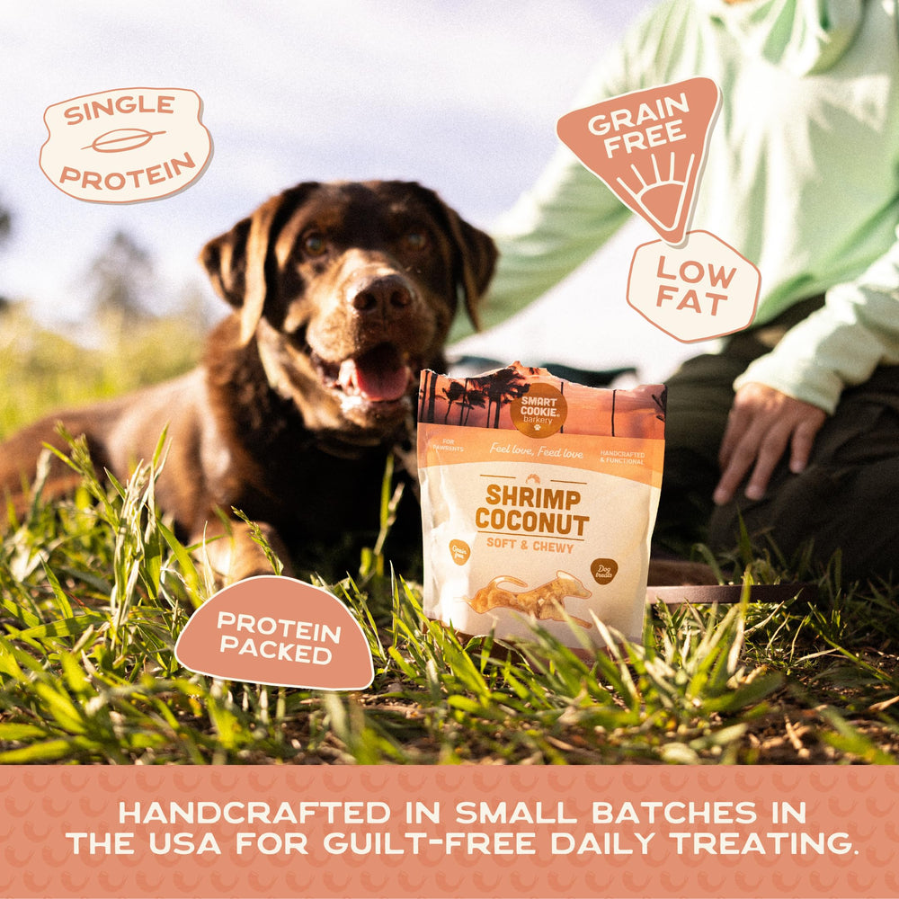 Smart Cookie Rocky Mountain Trout Apple soft dog treats for tasty rewards.