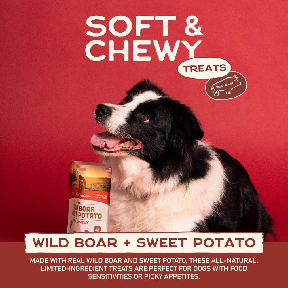 Smart Cookie soft, chewy bites ideal for training rewards and daily treats.