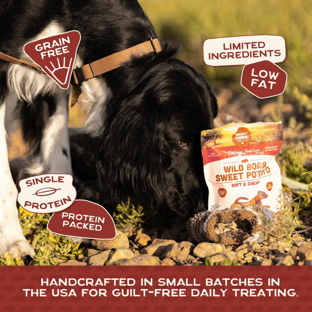 Smart Cookie soft chewy mini bites in a collection for dogs.