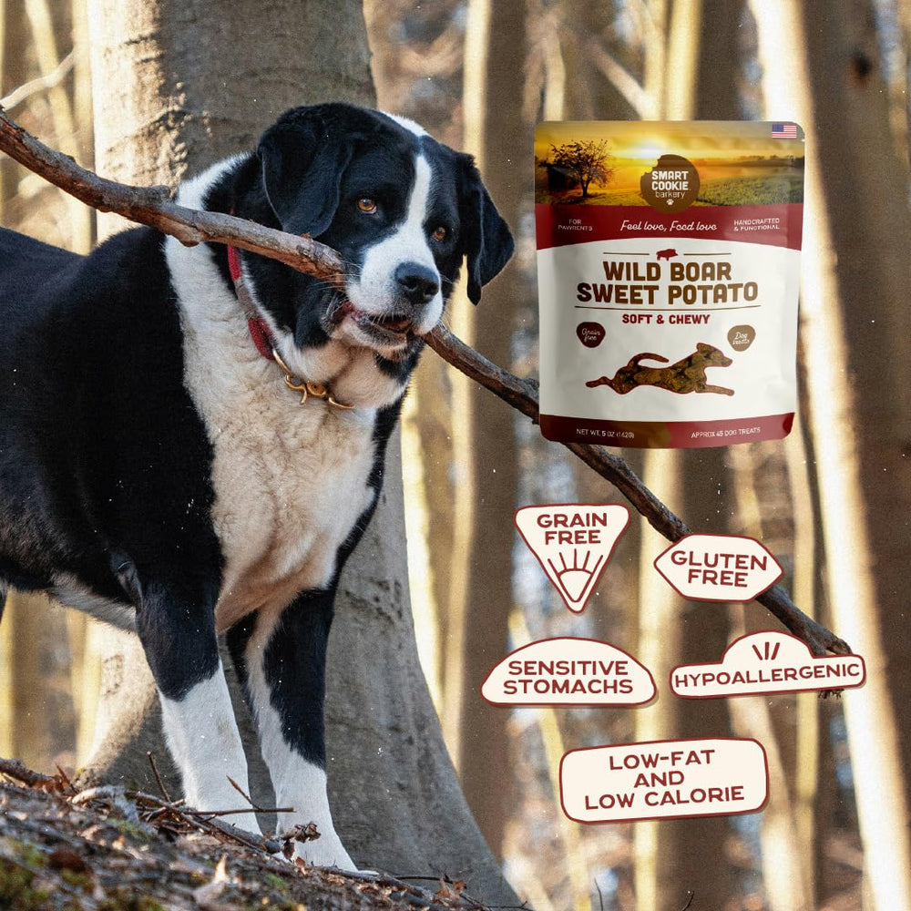 Smart Cookie treats in hands, demonstrating bite-sized training rewards.