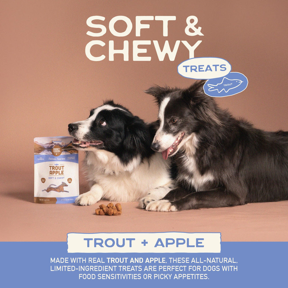 Smart Cookie Trout & Apple training treats on display for rewards during training.