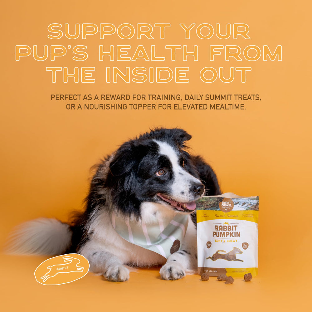 Smart Cookie USA-made barkery, handcrafted in small batches