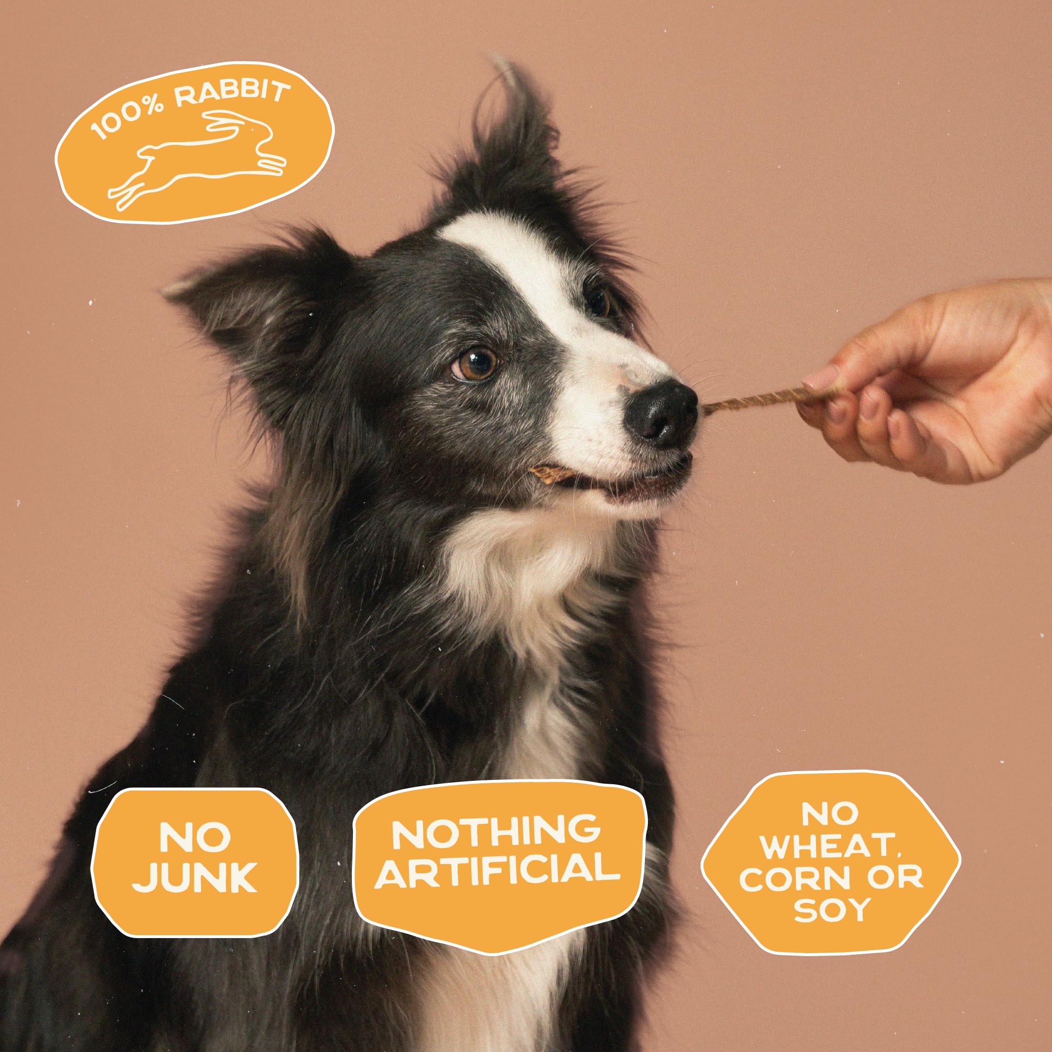 Smart Cookie rabbit jerky strips allergy-friendly option for dogs with sensitive stomachs.