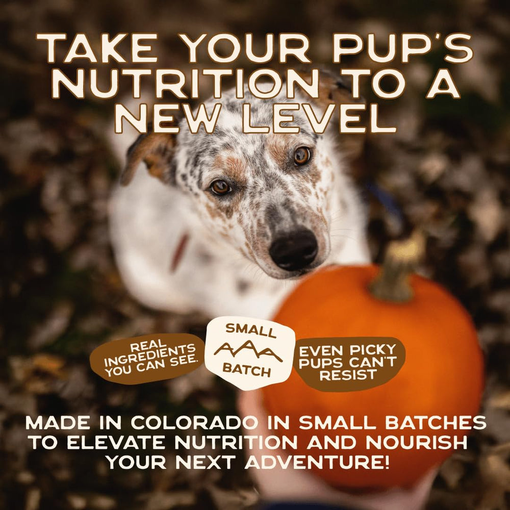 Smart Cookie veggie-kibble-mixer-serving shows quick meal upgrade for pups.