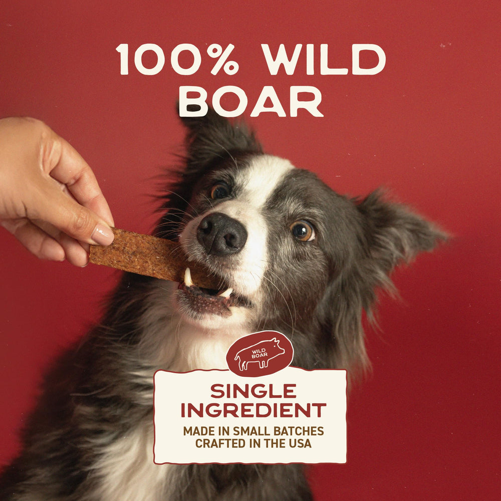 Smart Cookie wild boar jerky for puppies.