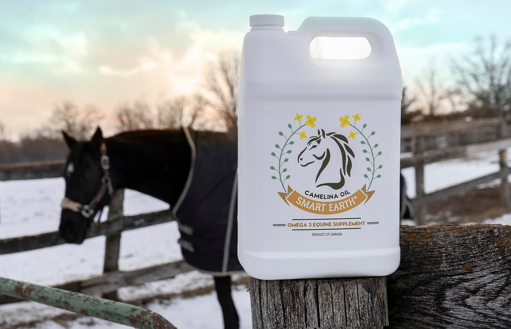 Smart Earth camelina oil being added to feed for weight gain support