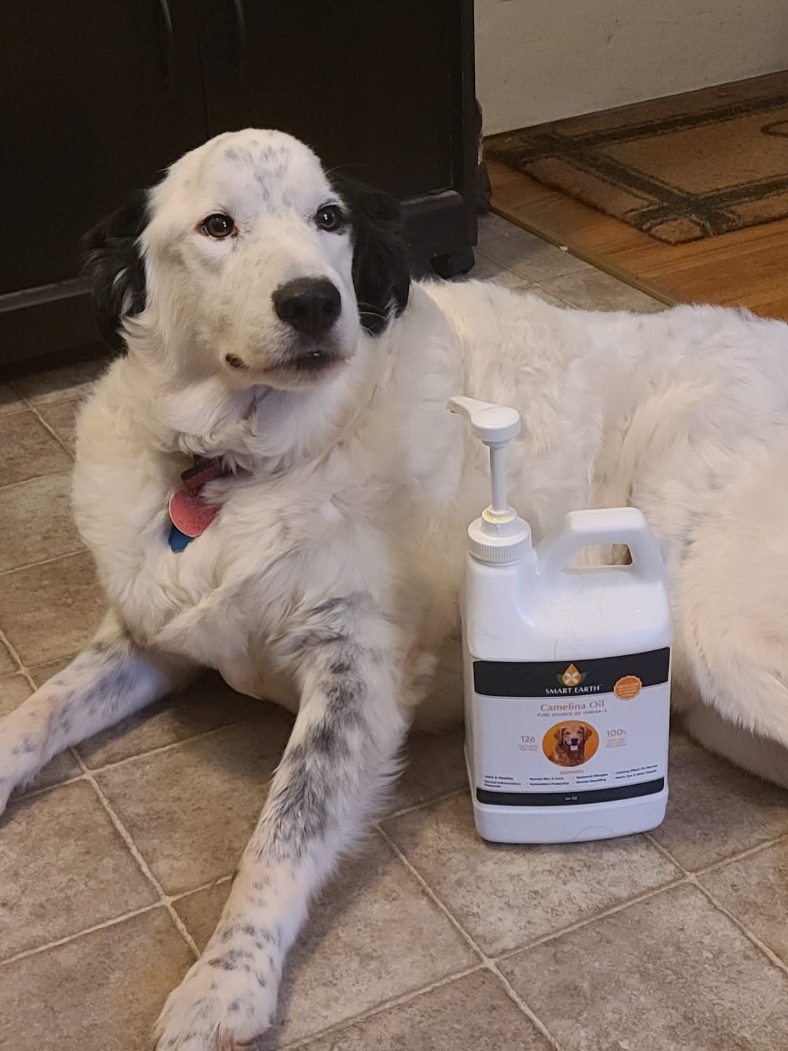 Smart Earth Camelina Oil for Dogs Canadian-origin oil label.