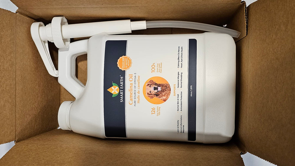 Smart Earth Camelina Oil for Dogs during play shows joint flexibility.