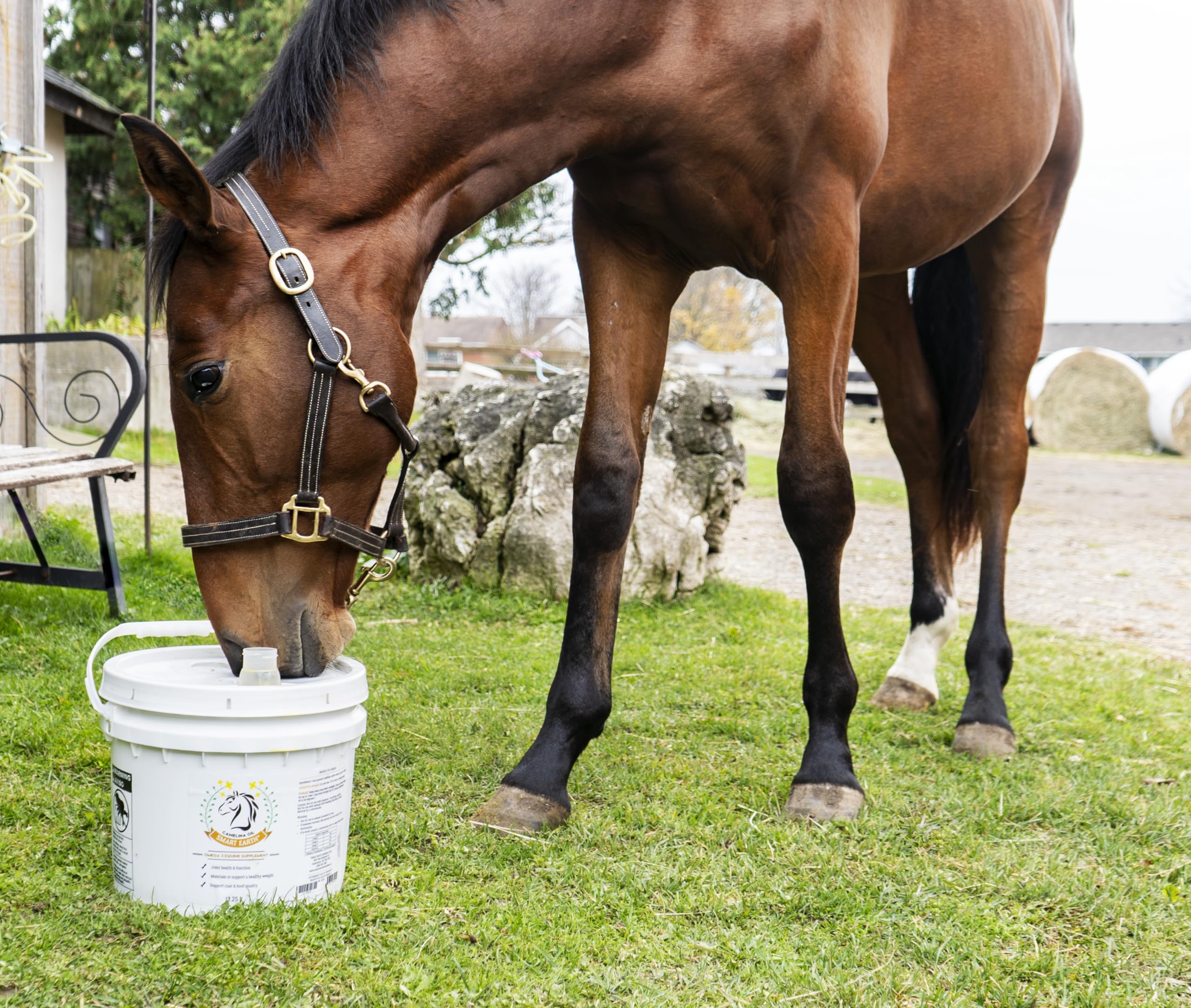Smart Earth camelina oil with measuring spoon enables precise feeding