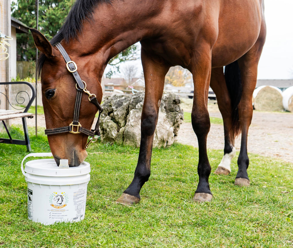 Smart Earth camelina oil with measuring spoon enables precise feeding
