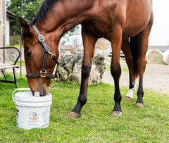 Smart Earth camelina oil with measuring spoon enables precise feeding