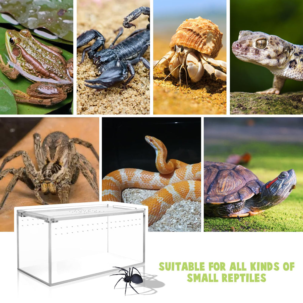 Smartang clear enclosure provides unobstructed viewing of reptiles and invertebrates.