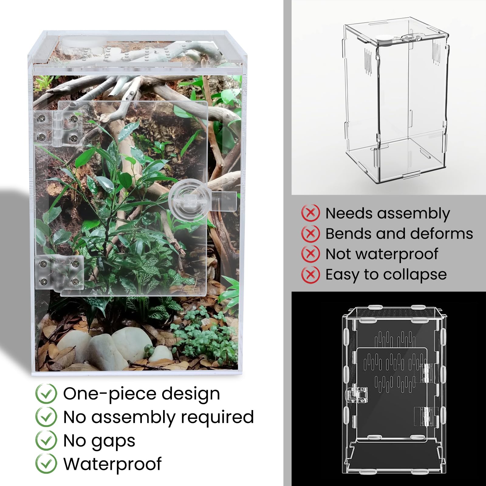 Smartang tall arboreal enclosure offers 360-degree visibility for easy observation.