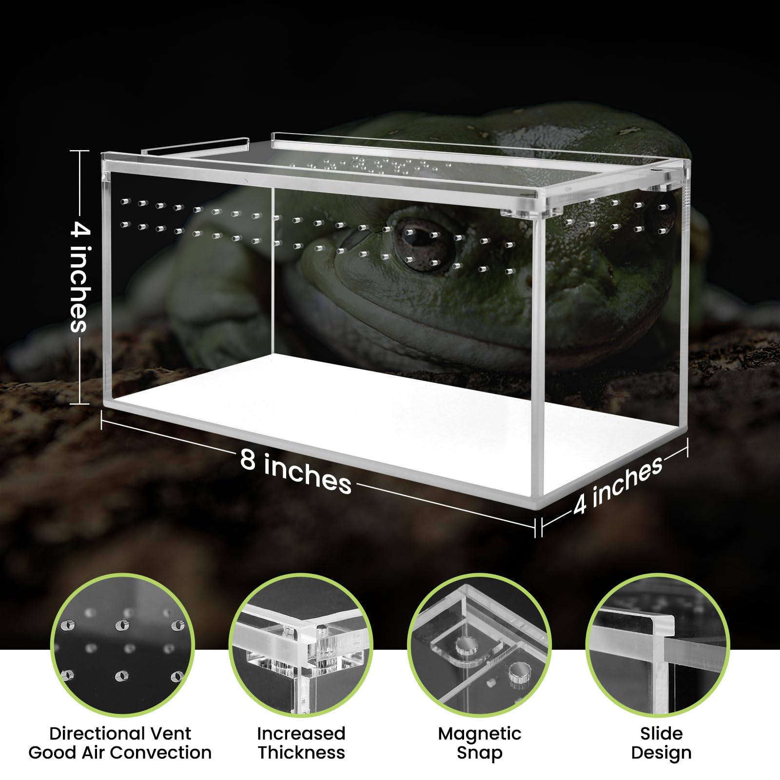 Smartang tarantula enclosure in compact 8x4x4 inch size for small arachnids.