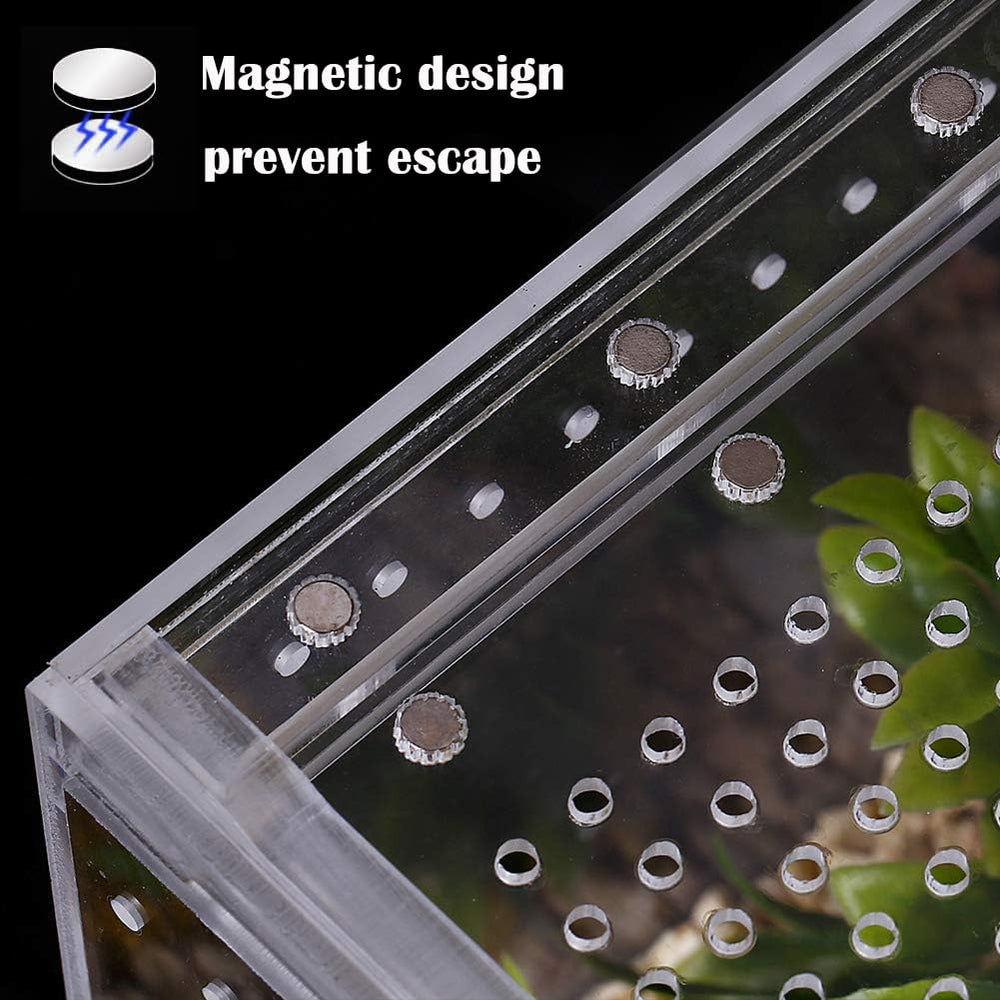 Smartang compact tarantula habitat supports isopods and small arthropods.