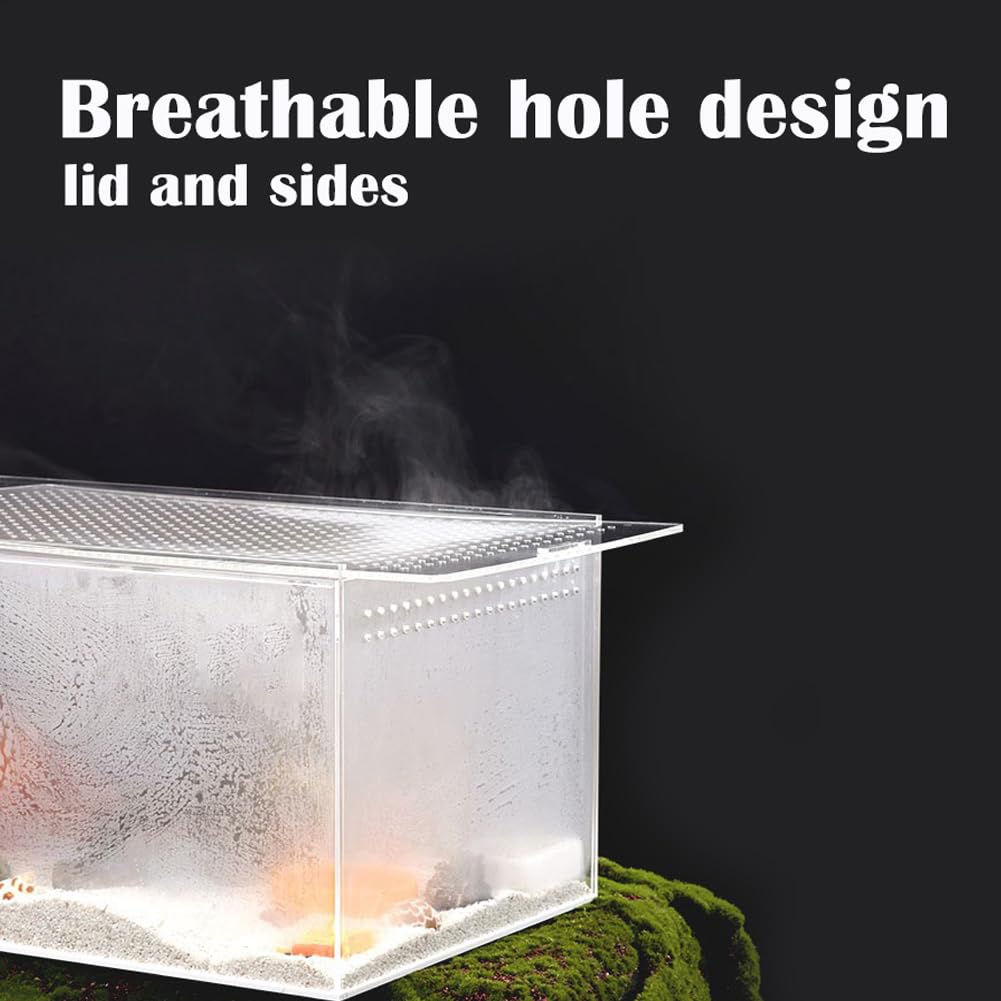 Smartang acrylic terrarium with front-opening design for simple feeding and cleaning.