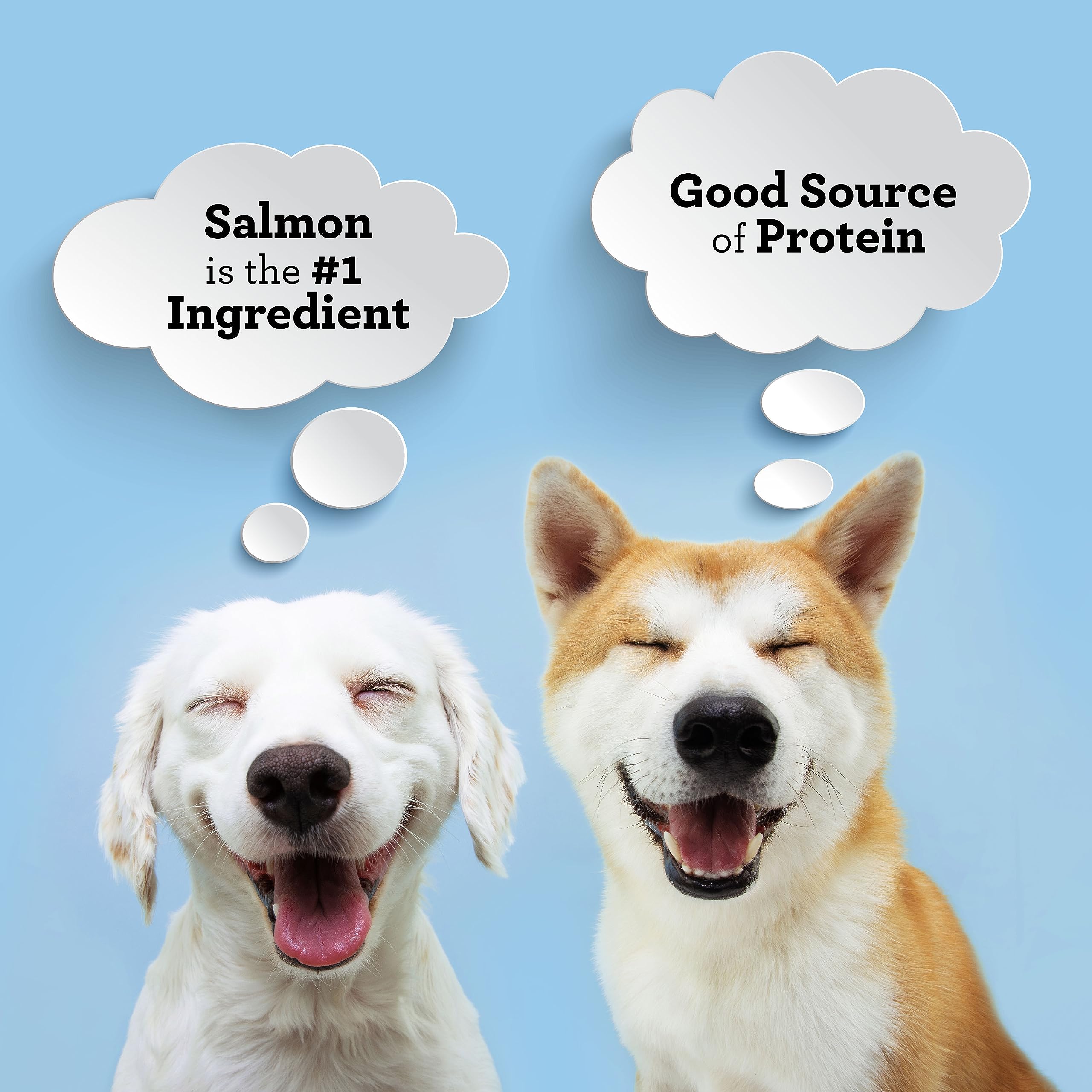 SmartBones Protein Rings show a dog enjoying a tasty, protein-rich reward