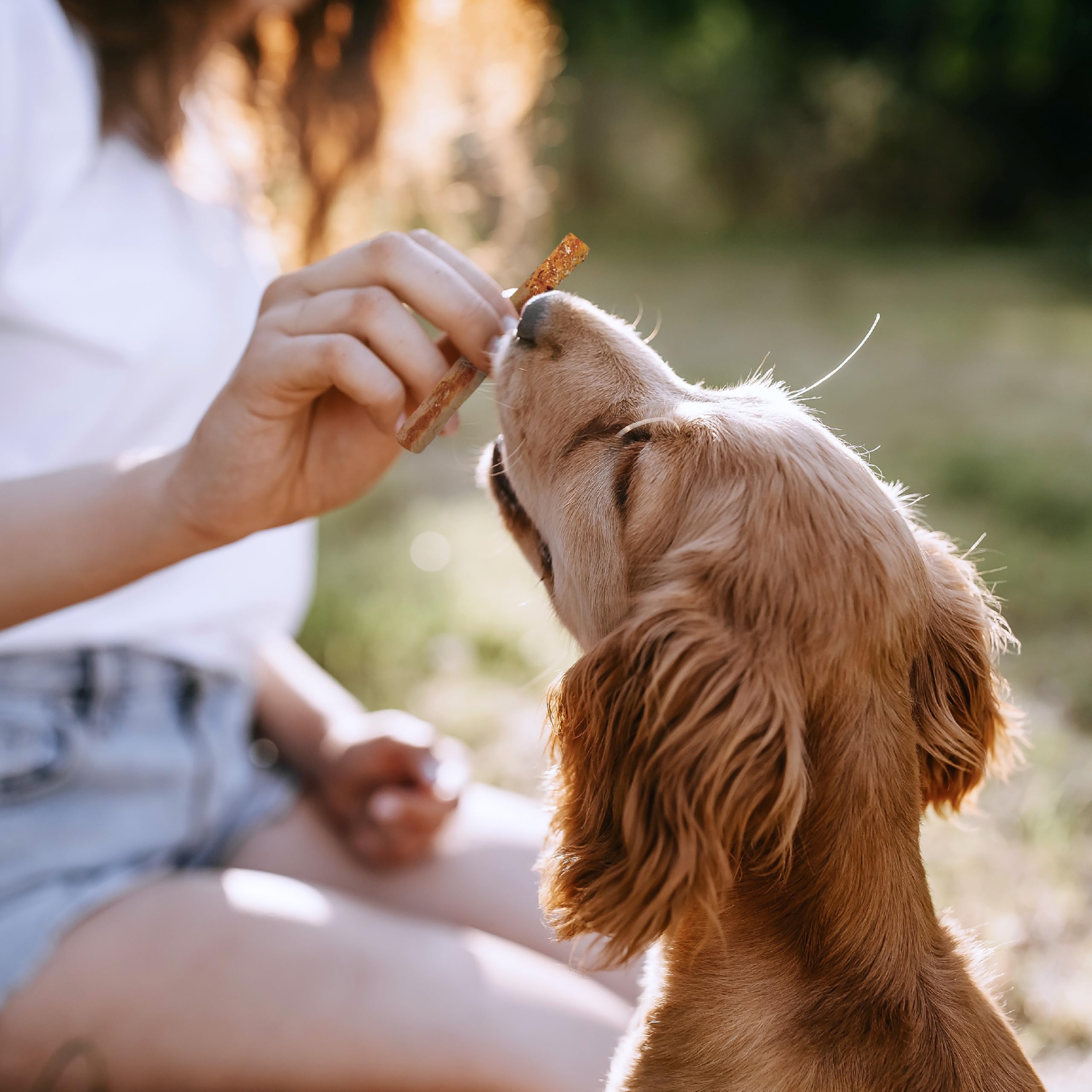 SmartBones vitamin and mineral enriched chew for balanced snacking