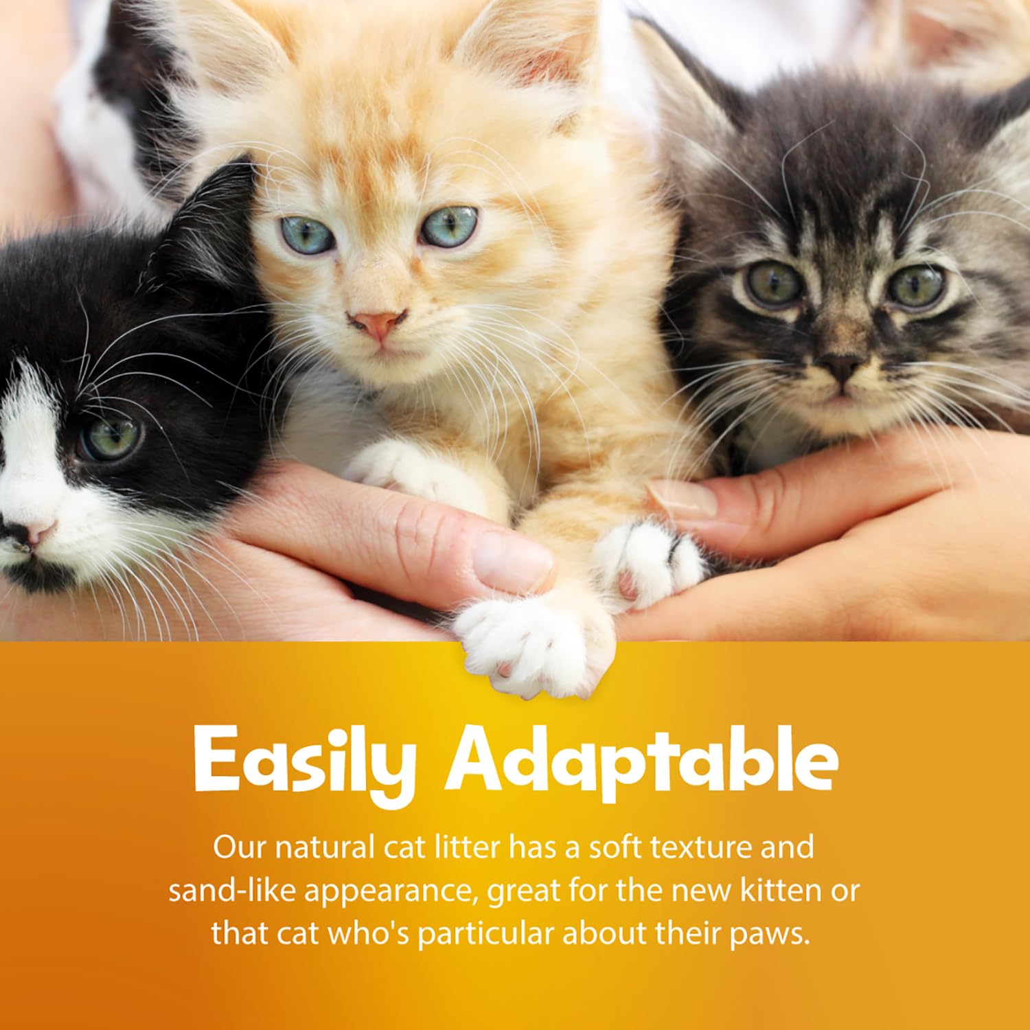 SmartCat 99% dust-free texture minimizes airborne particles during litter changes.