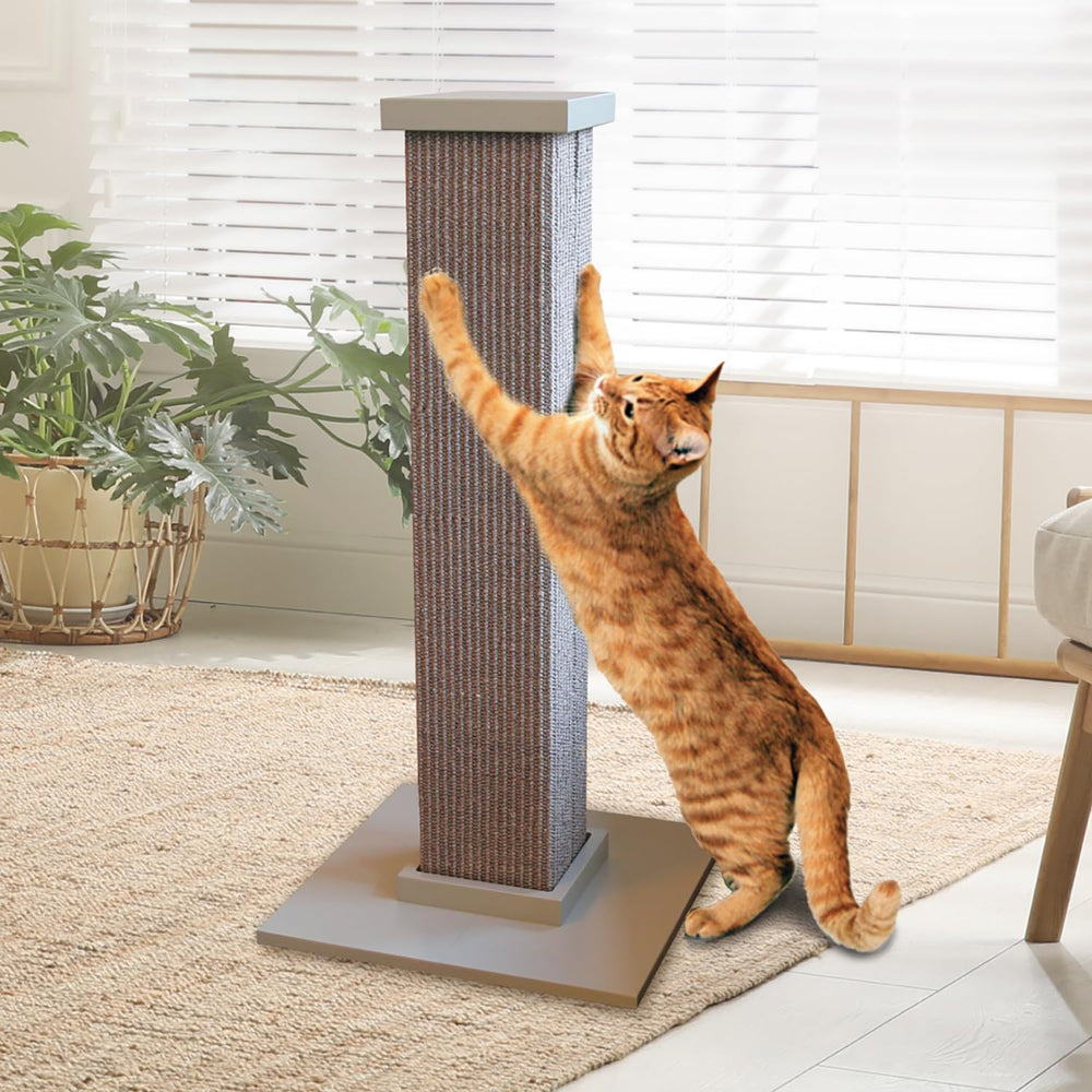 Cat stretches on the SmartCat 32-inch tower for a full body stretch.
