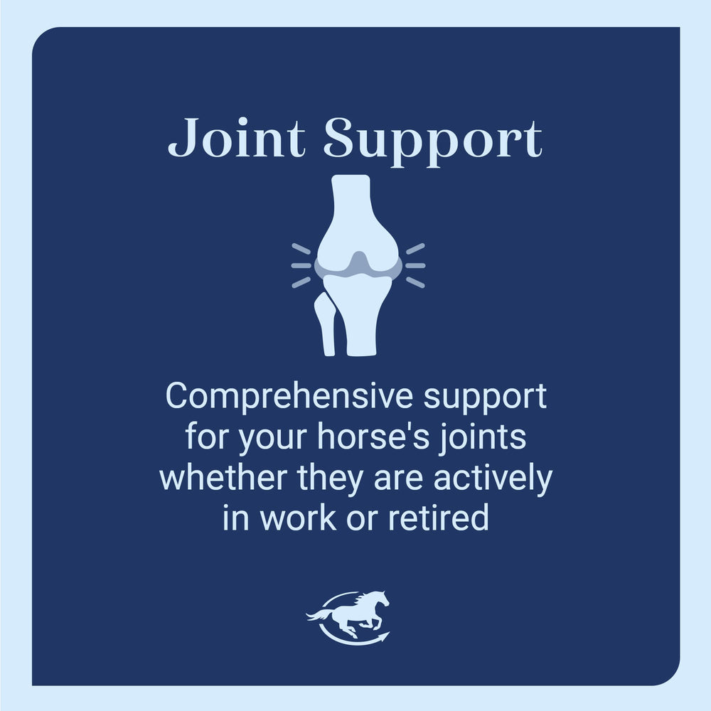 SmartEquine Devil's Claw Plus Granular joint mobility graphic highlighting potential support for aging horses