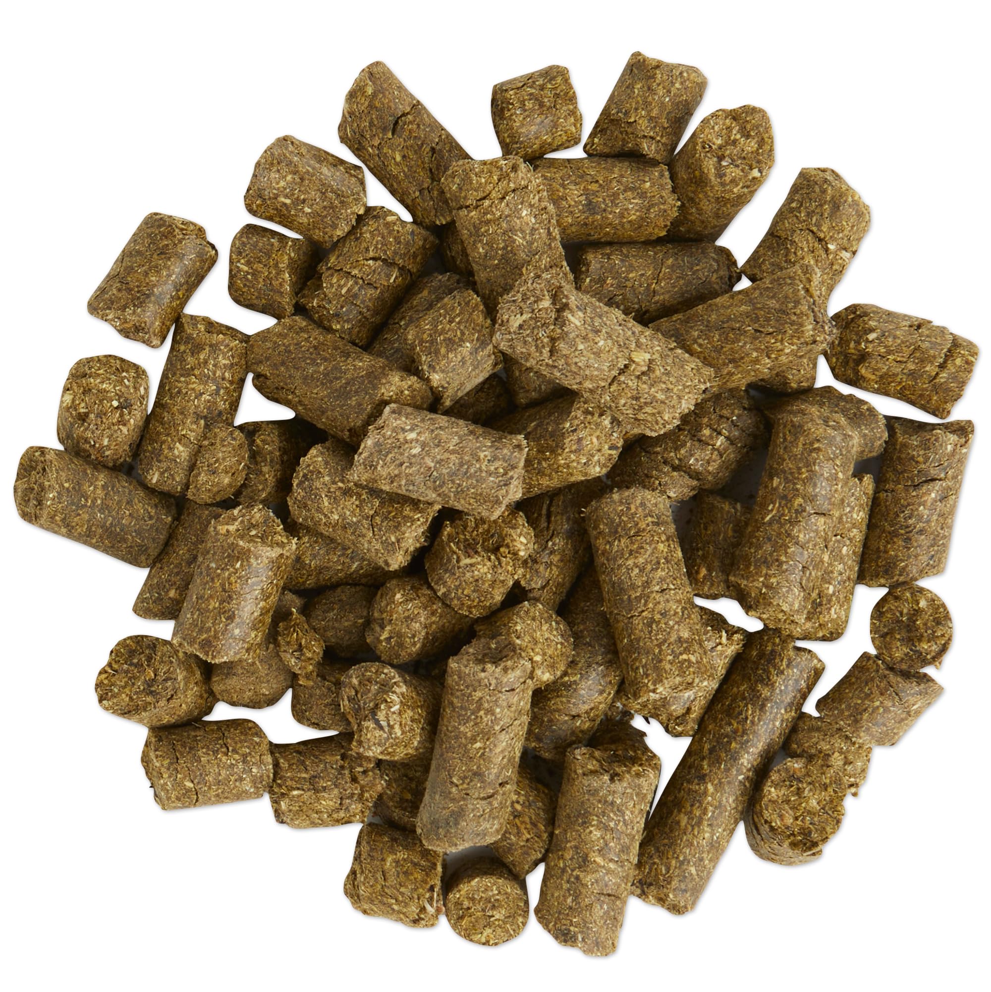 SmartEquine Equi Treats bite-sized cookies in hand for on-the-go rewards.
