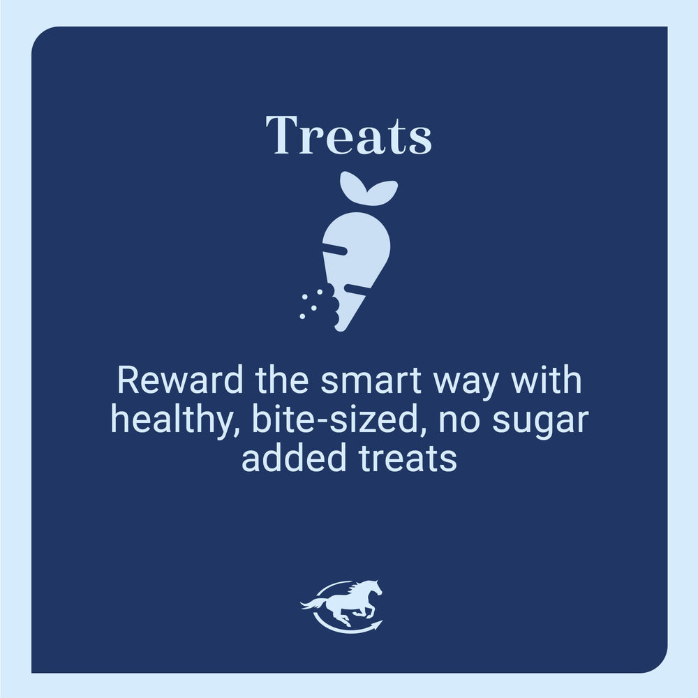 SmartEquine Equi Treats on-the-go pocket snack shown in hand for easy rewards