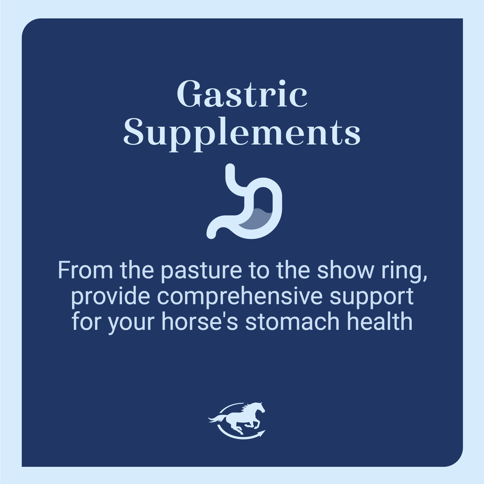 SmartEquine Gut Pellets packaging shown with a calm horse during training.