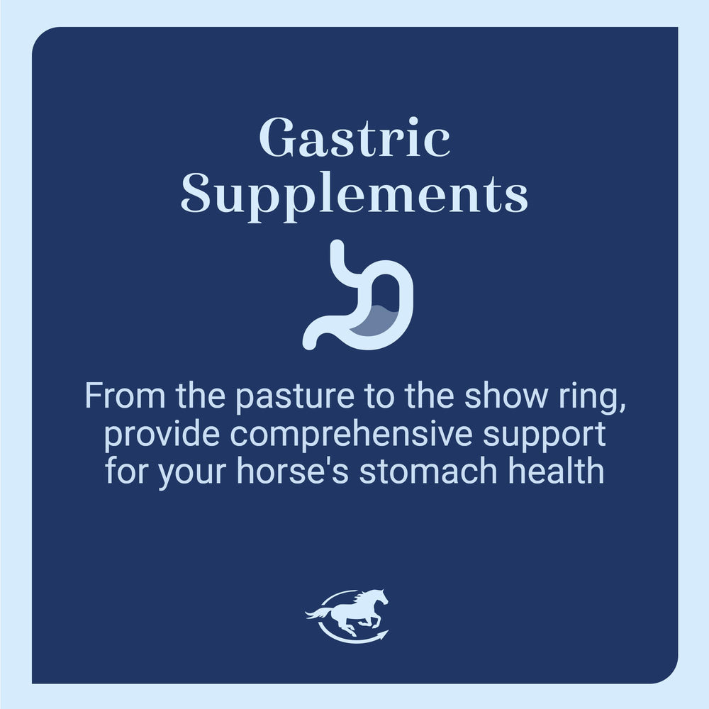 SmartEquine Gut Pellets packaging shown with a calm horse during training.