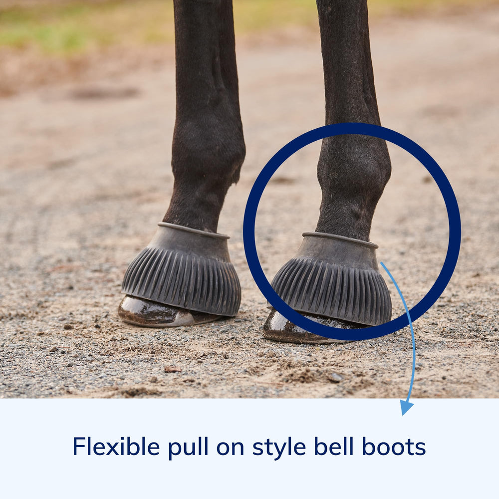 SmartEquine bell boots with interference shielding prevent hoof interference during riding.