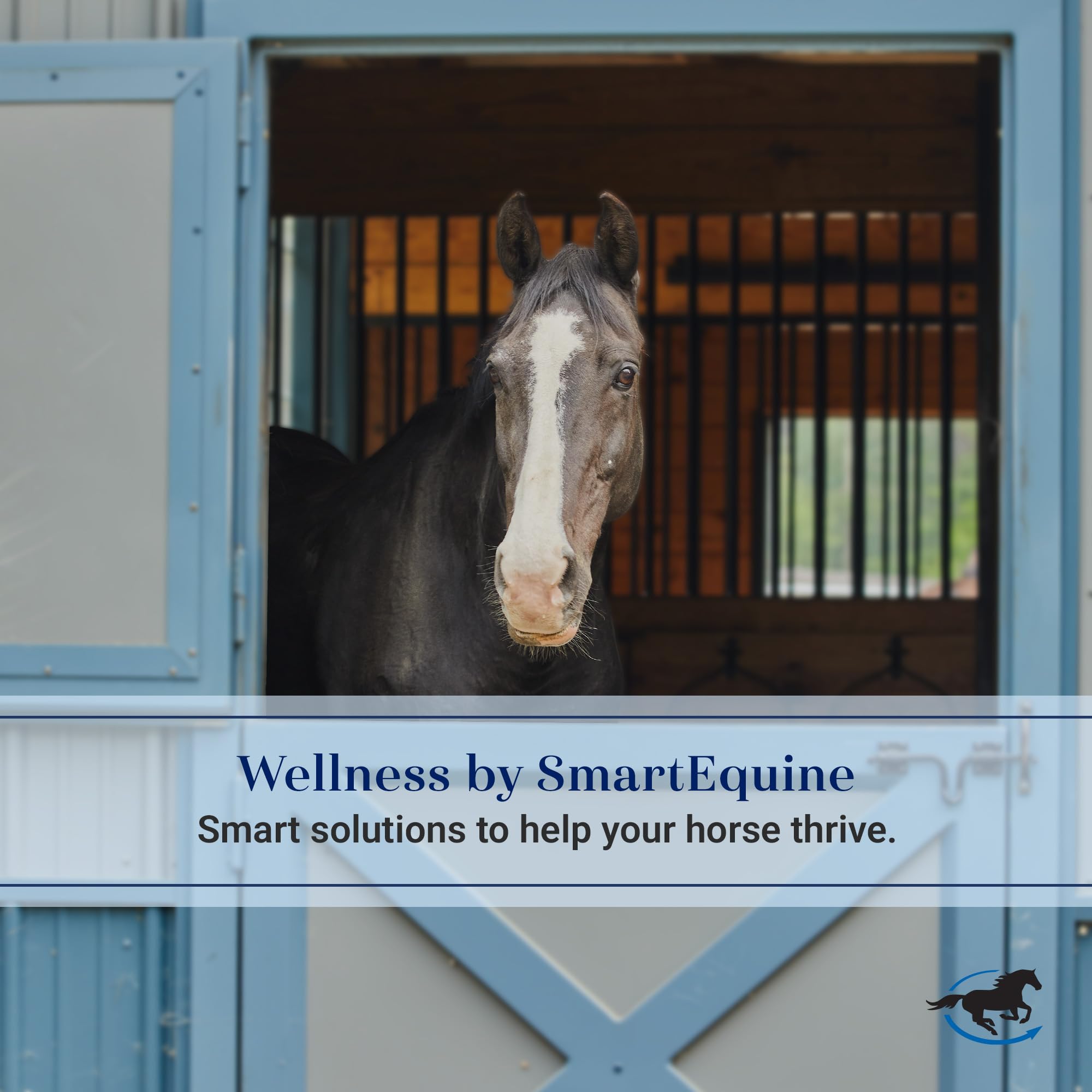 SmartEquine bell boots secure-fit design stay in place during workouts.