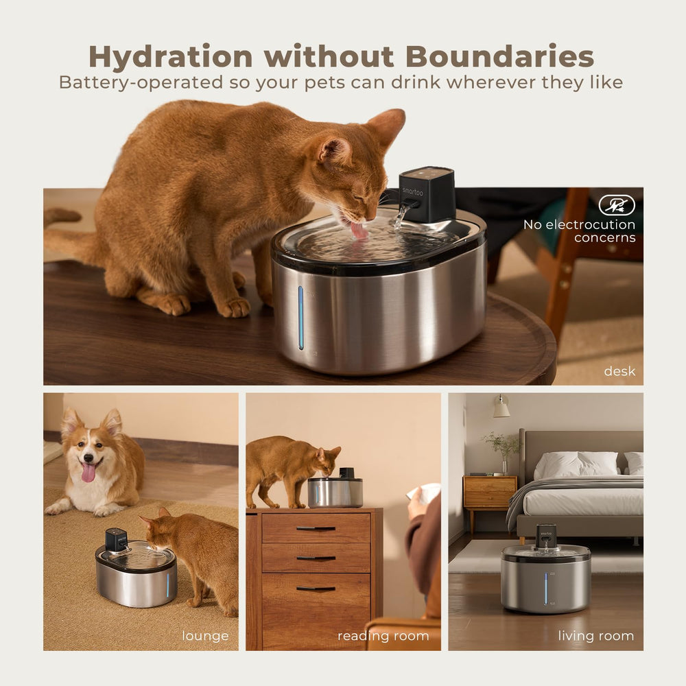 Smartoo 152oz capacity fountain for longer hydration between refills