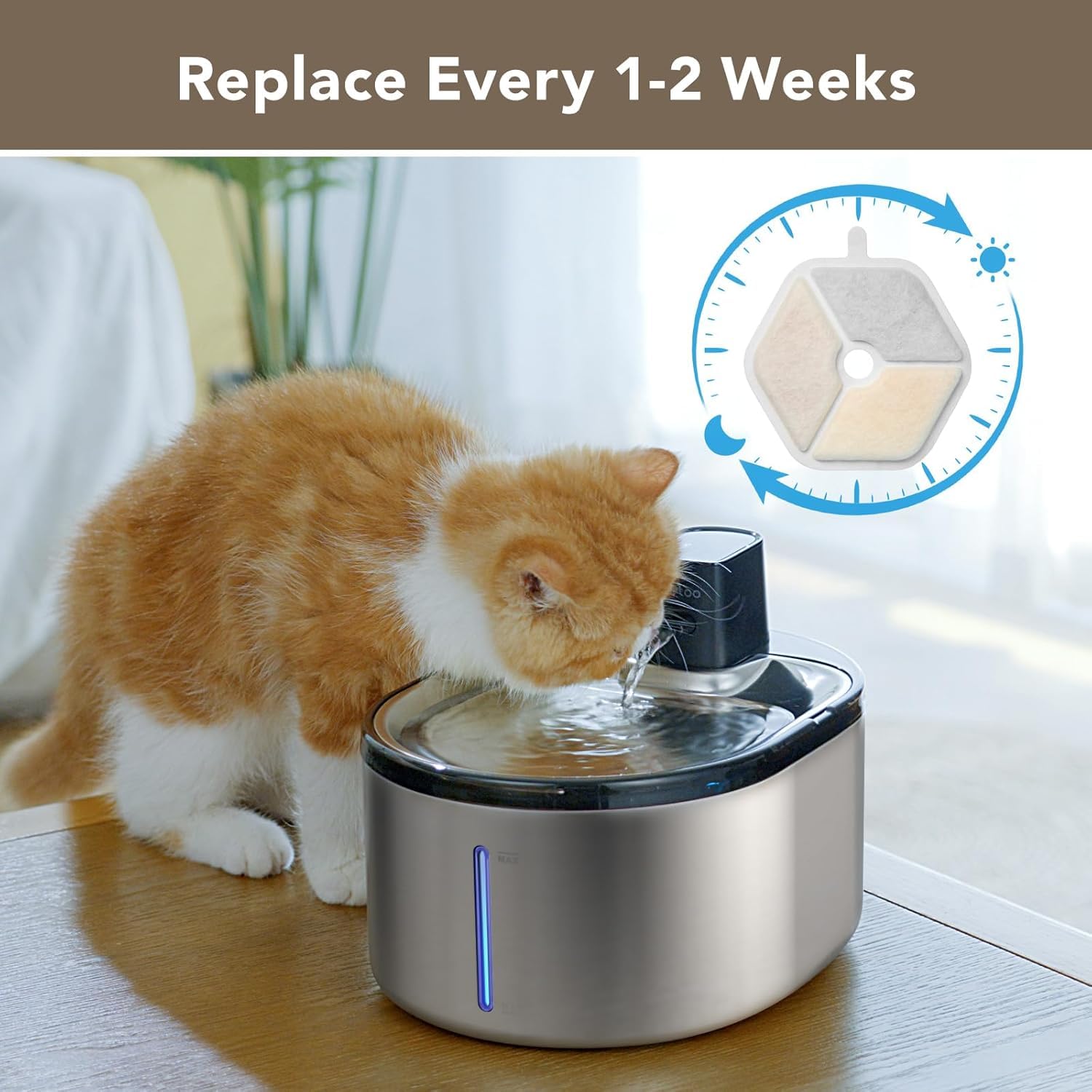 Smartoo cat fountain in use, encouraging regular hydration for pets.