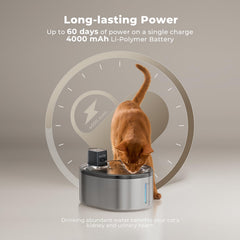 Smartoo motion sensor triggers water flow as pets approach
